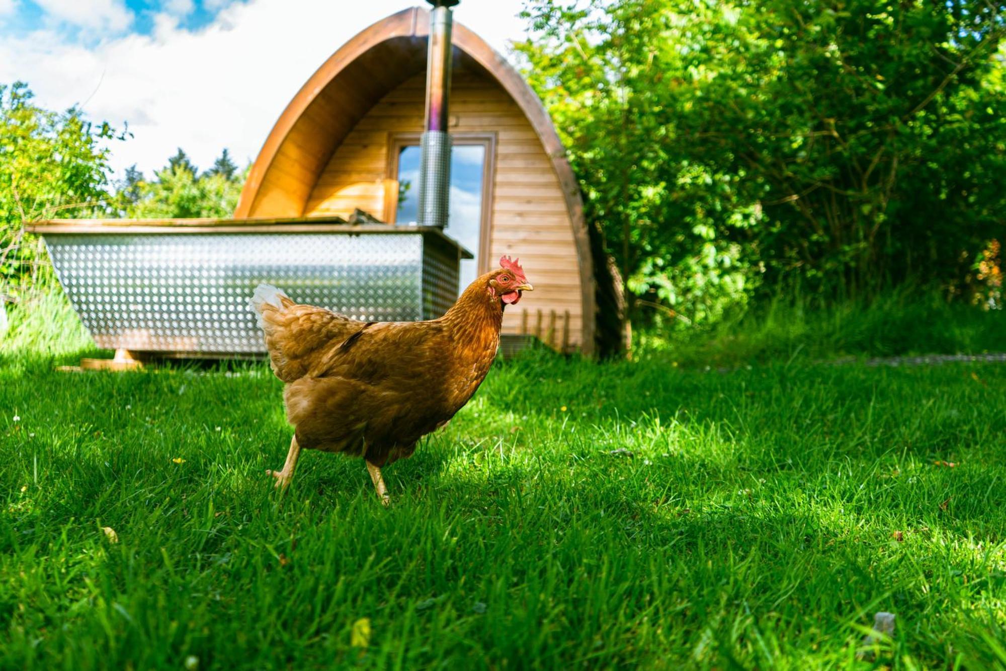 Glamping Glenshee