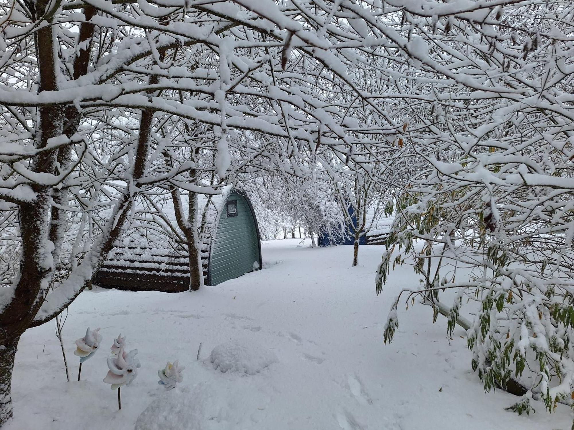 Glamping *