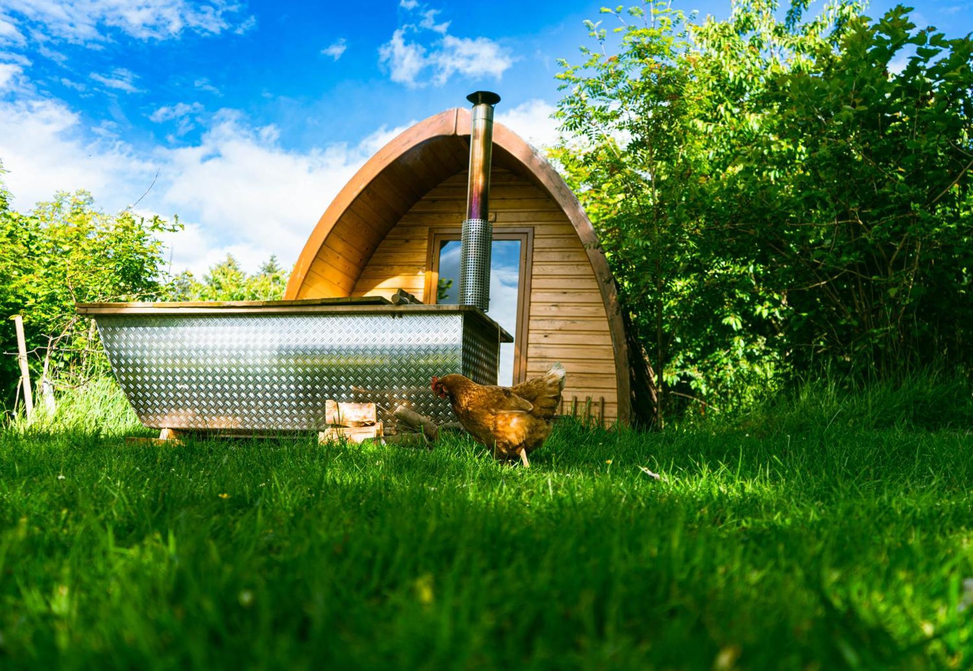 Camping Glamping
